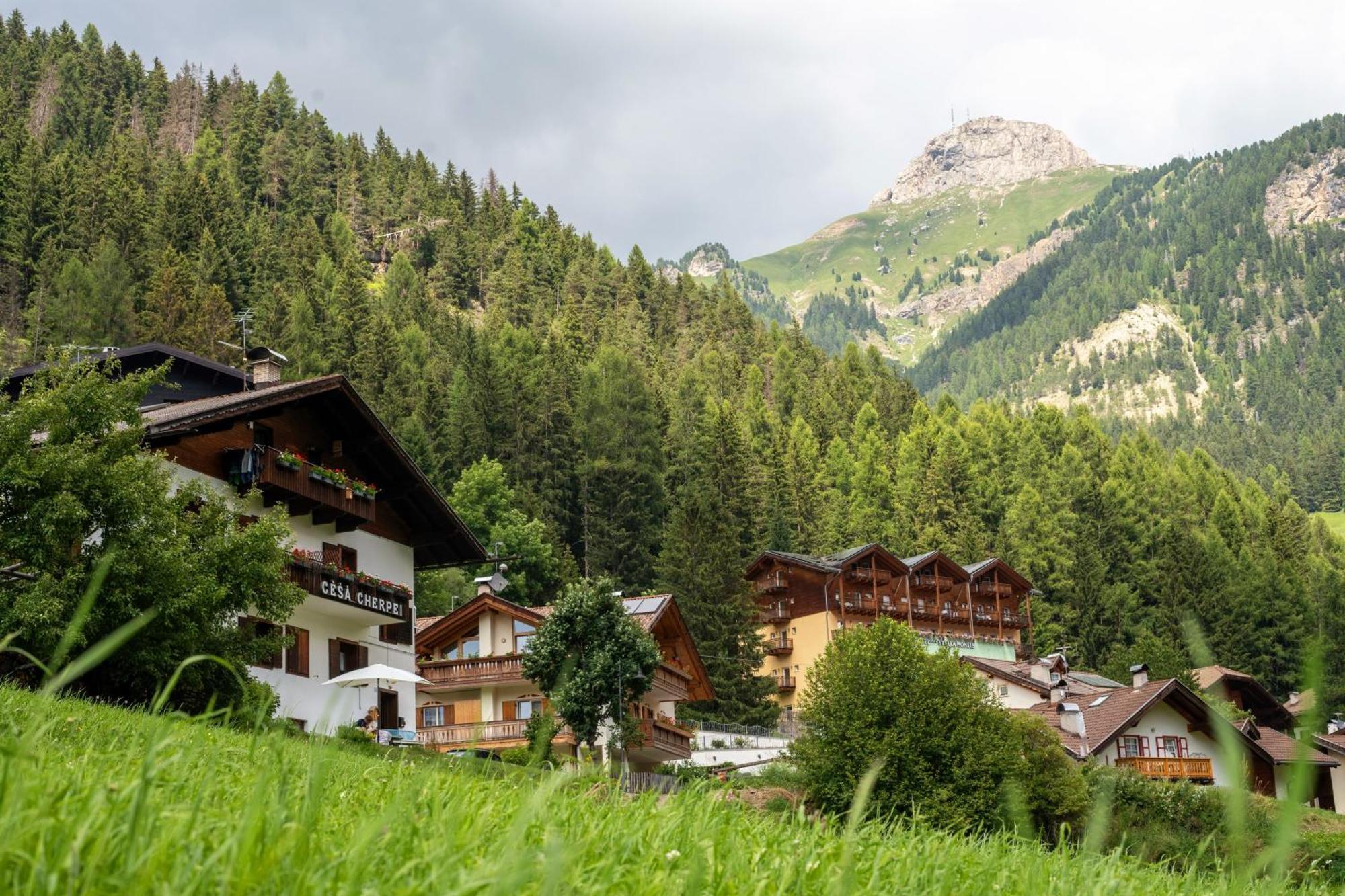 Cesa Cherpei - Dog Friendly Campitello di Fassa Exterior foto